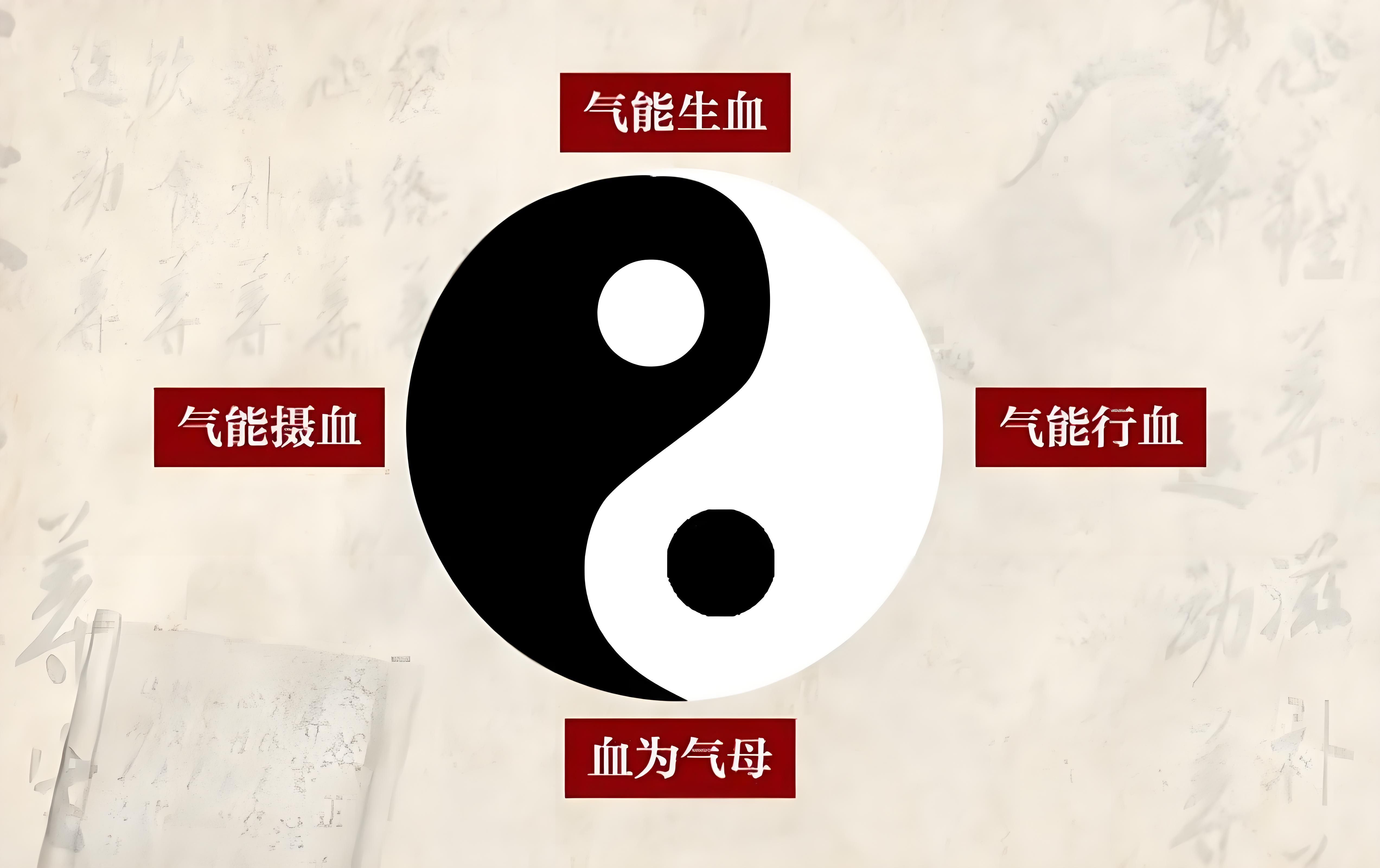 中医基础知识分享