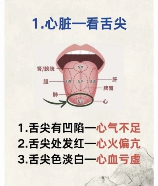 舌尖处发红一心火偏亢 3.舌尖色淡白一心血亏虚