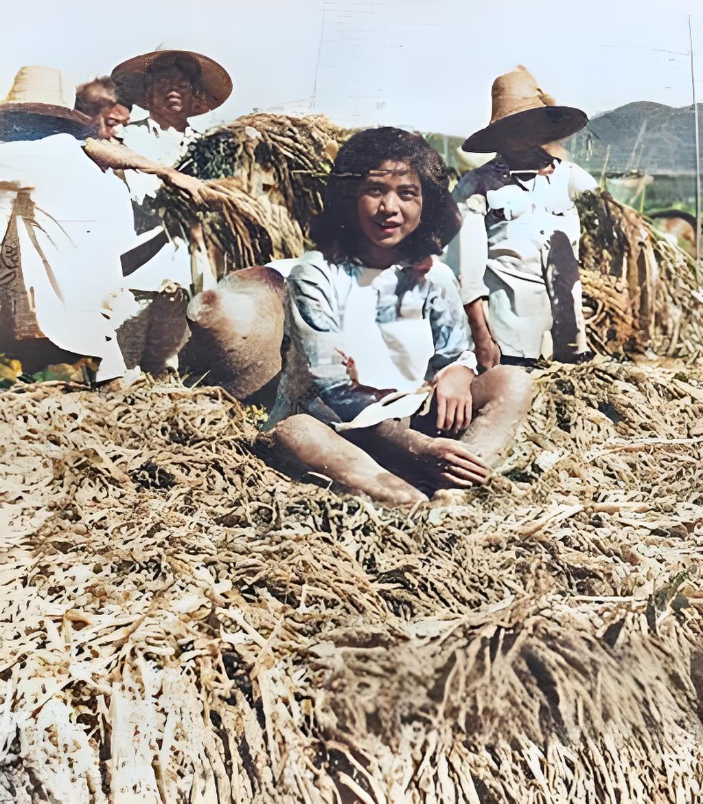主角带着粮食穿越到1958年