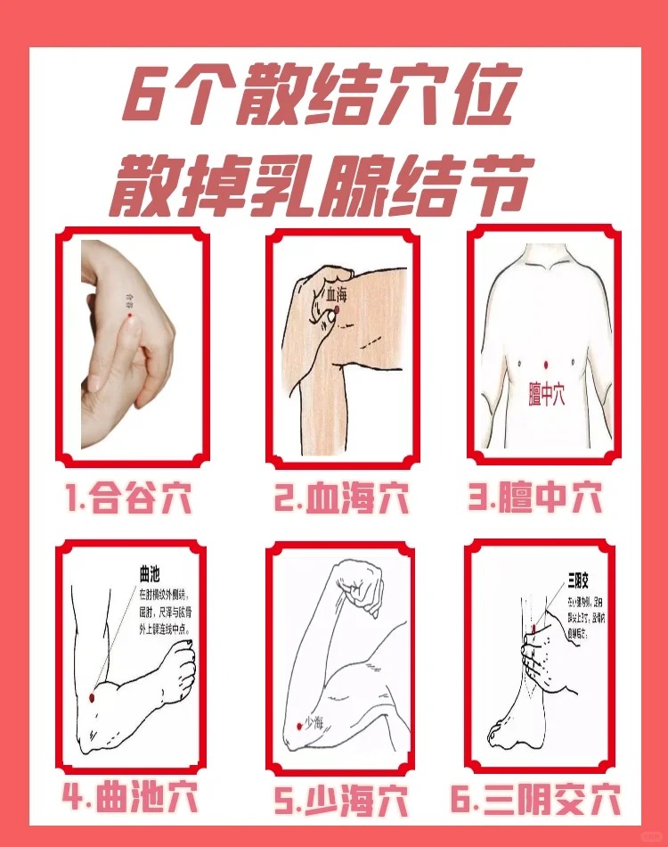 乳房经络分布图 图解图片