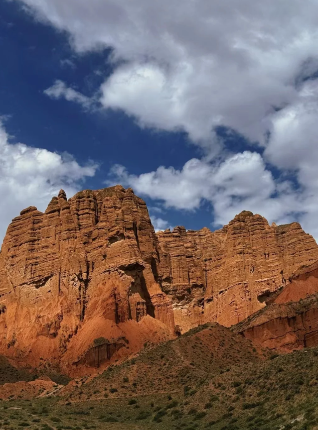 牧羊犬当成移动路标的爆笑奇遇～