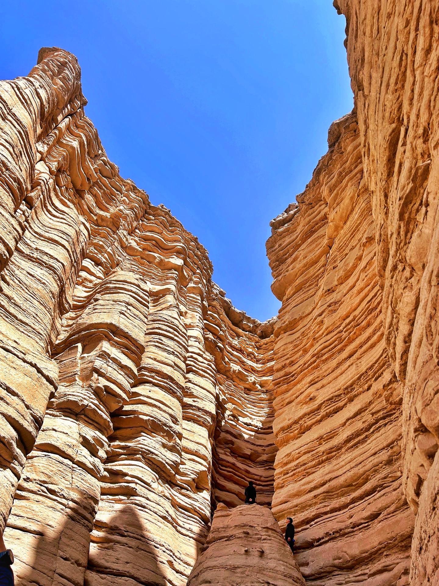 刚从哈密大海道归来,心还留在那片温柔的荒野里