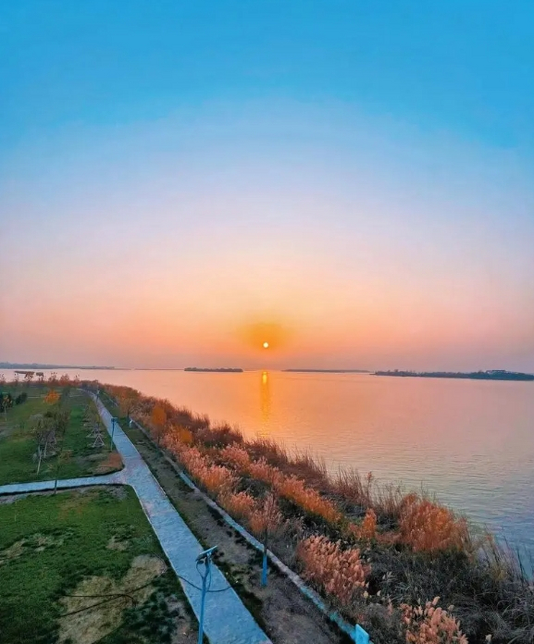 9898  走进衡水湖,我仿佛置身于一个绿色的海洋.