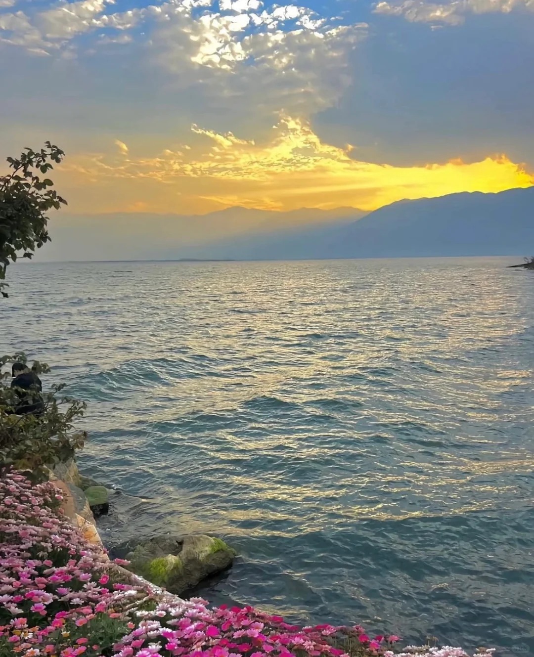 大理双廊天气预报