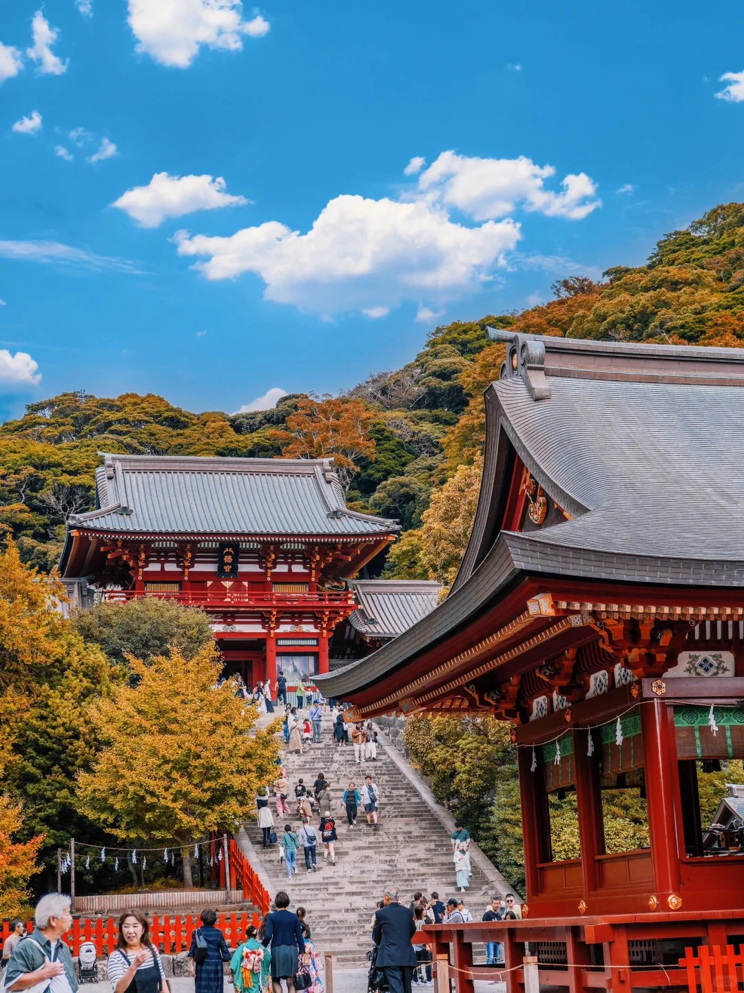 日本鹤冈八幡宫图片镰仓八幡宫远景鹤冈八蟠宫段曷樱花参道图片鹤冈