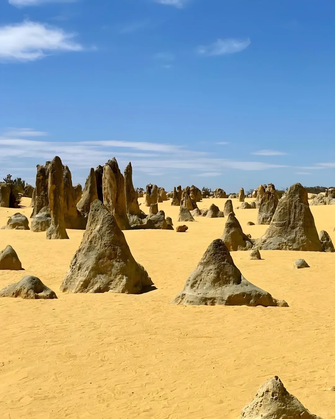 5h 车程 导航输入 pinnacles desert直接到游客中心 建议租