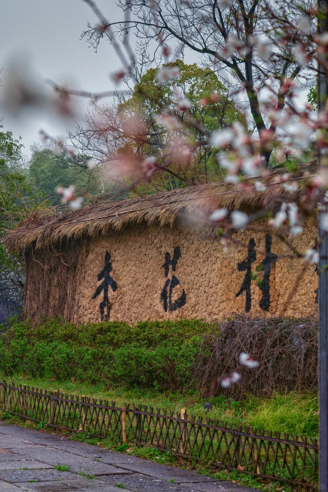 这里可是杜牧笔下"借问酒家何处有,牧童遥指杏花村"的原乡哦,跟着我的