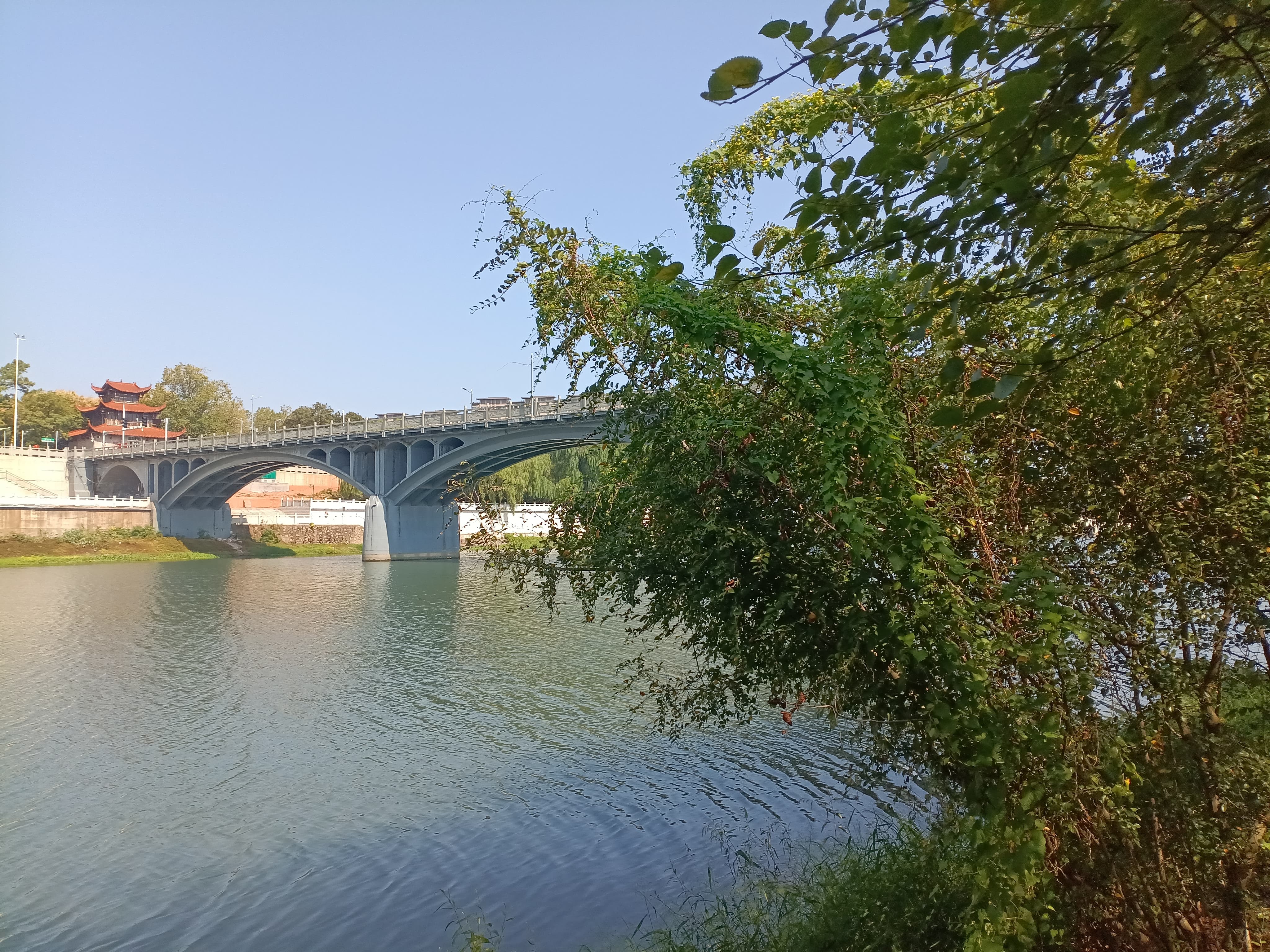 吉安的桥:白鹭洲大桥风光欣赏#旅游