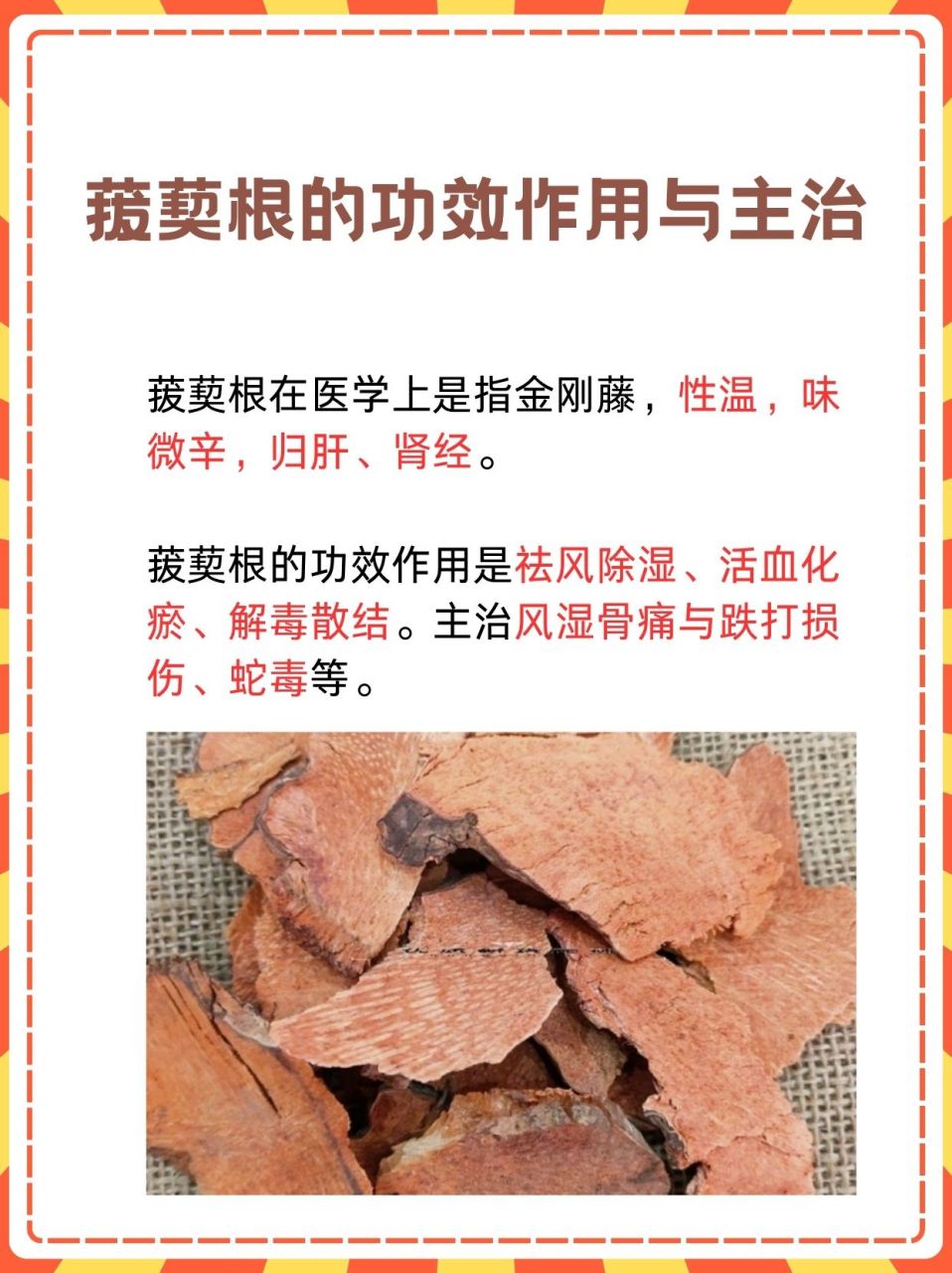 金刚刺的药用价值图片