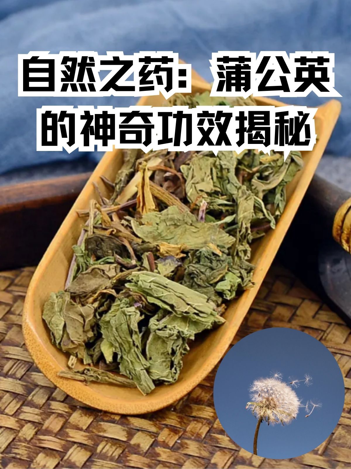 甘香子片药图片