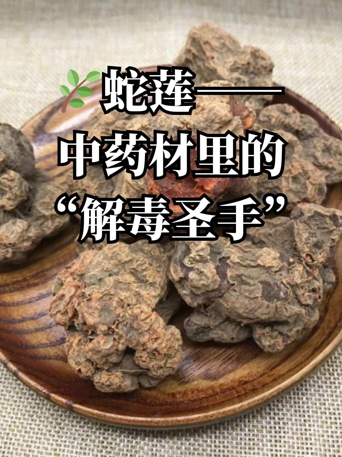 拔毒草药大全图片