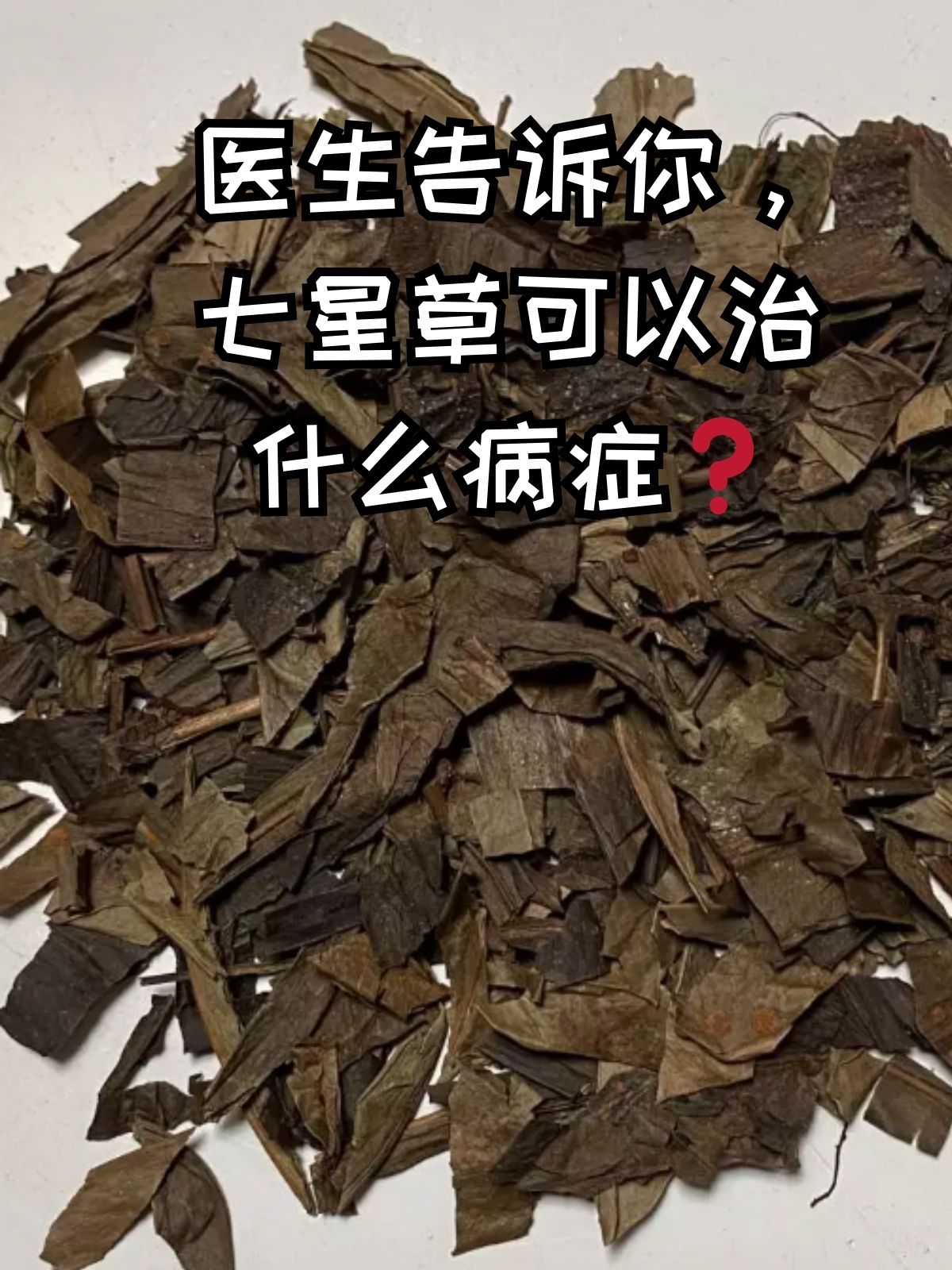 痢疾的症状和治疗方法图片