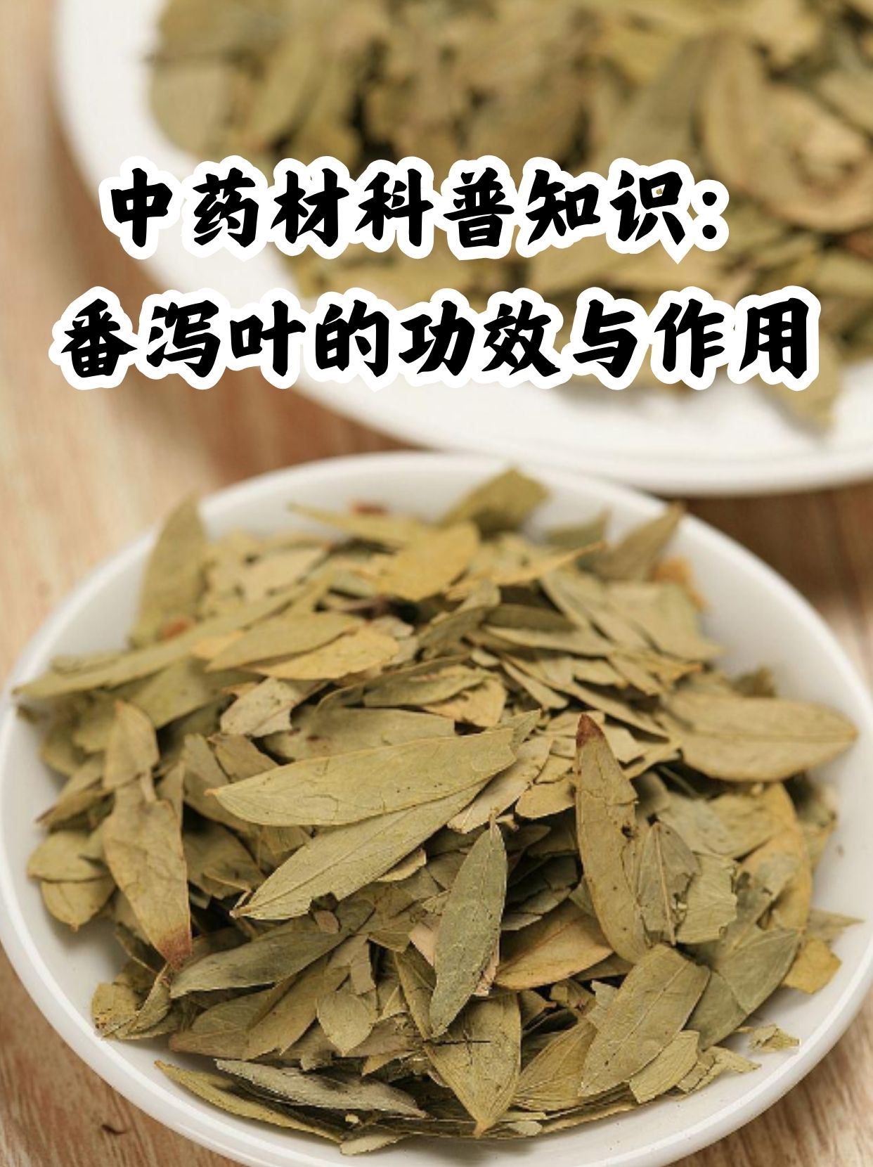 番茄叶的味道图片