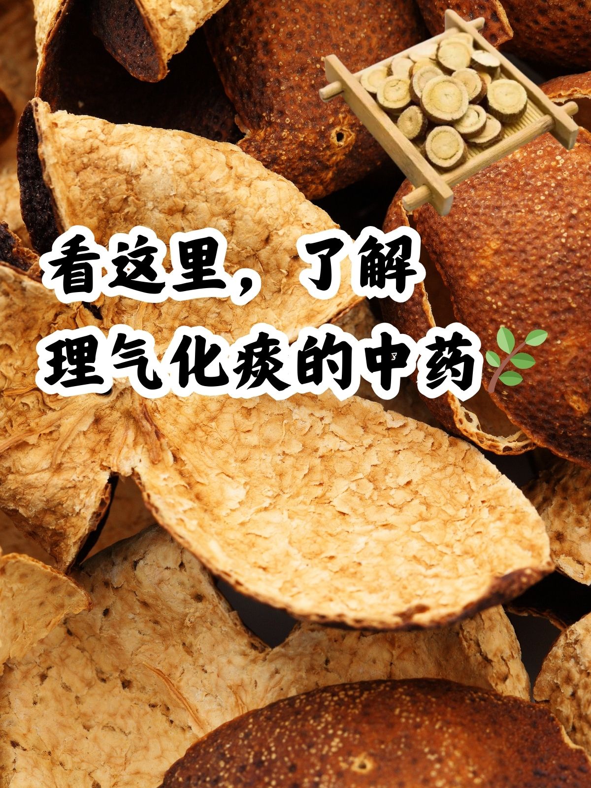 消食理气颗粒成分图片