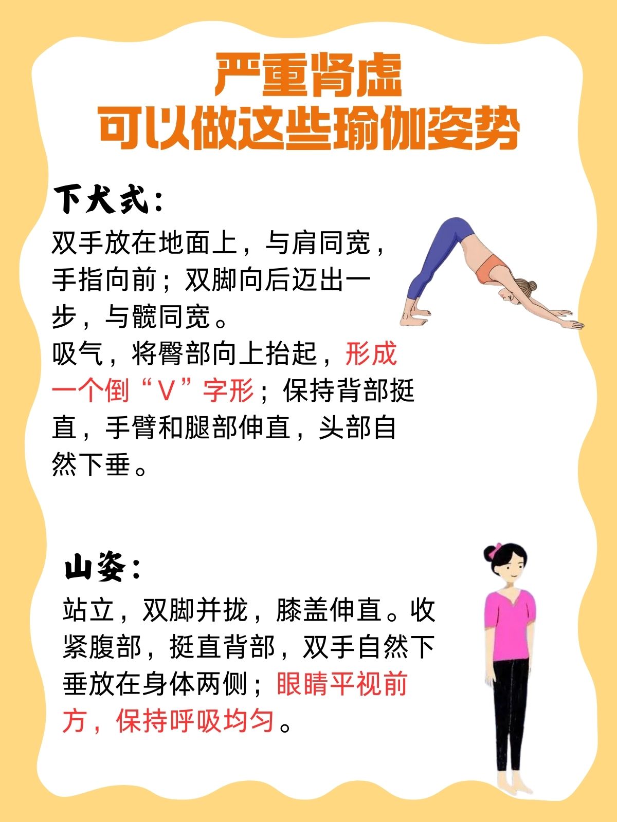 练肾最好的6个动作(练肾最好的6个动作是什么)