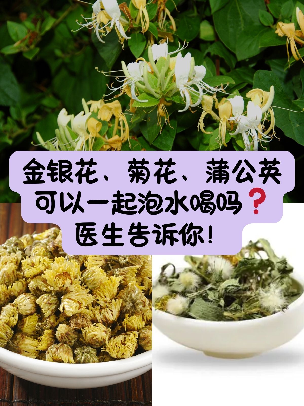 金银花,菊花,蒲公英可以一起泡水喝吗医生告诉你!