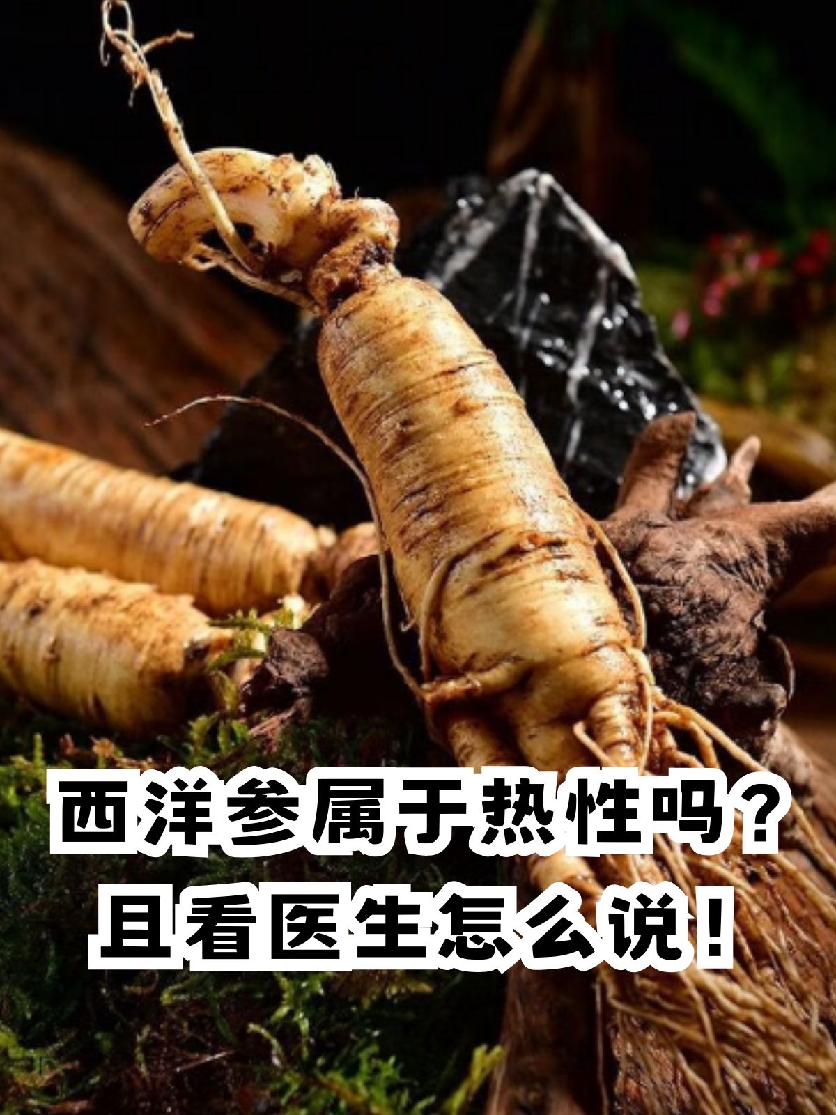 西洋参性味图片