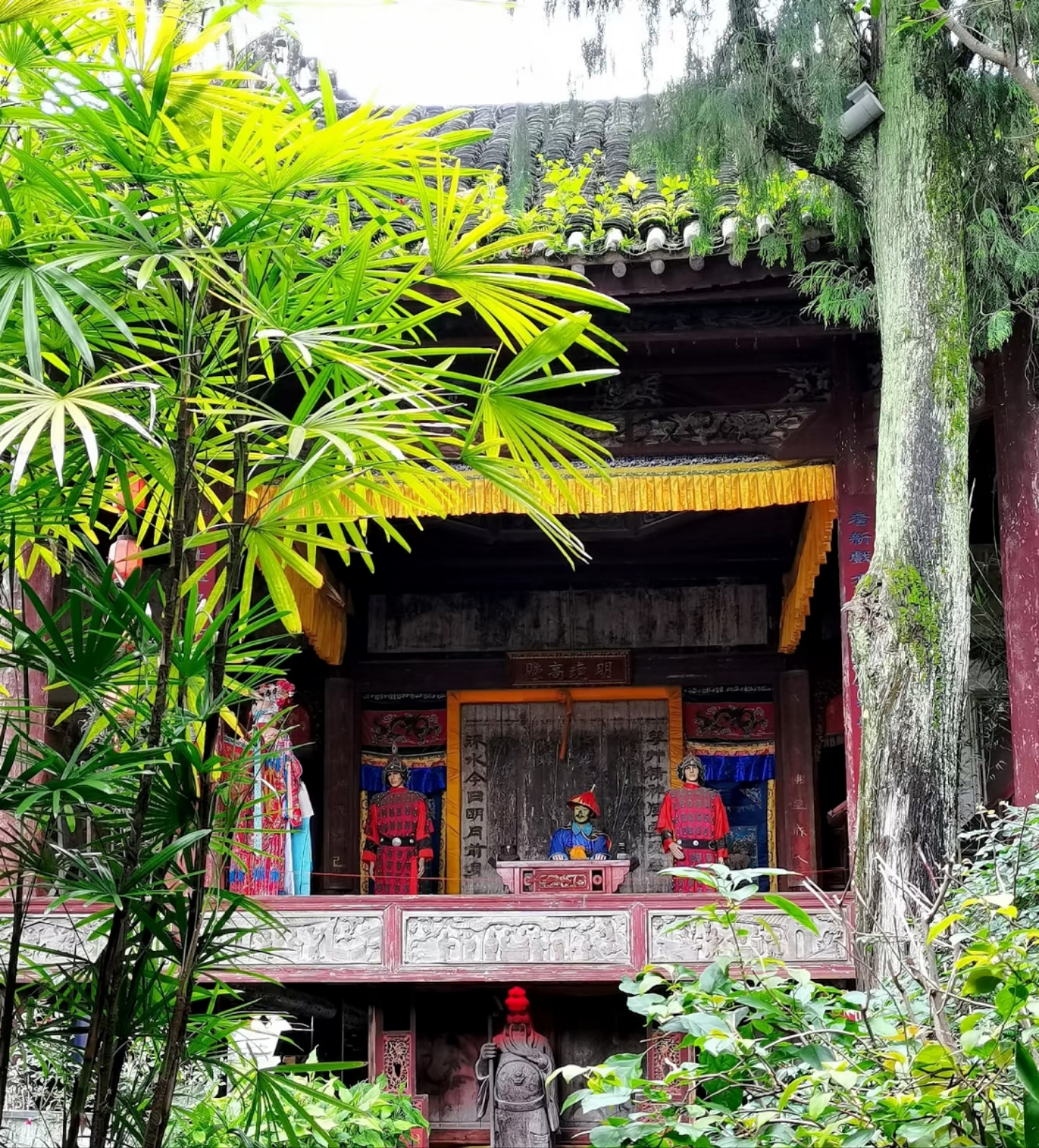 最近,我和朋友们来到广西,探索这片充满神秘与魅力的土地