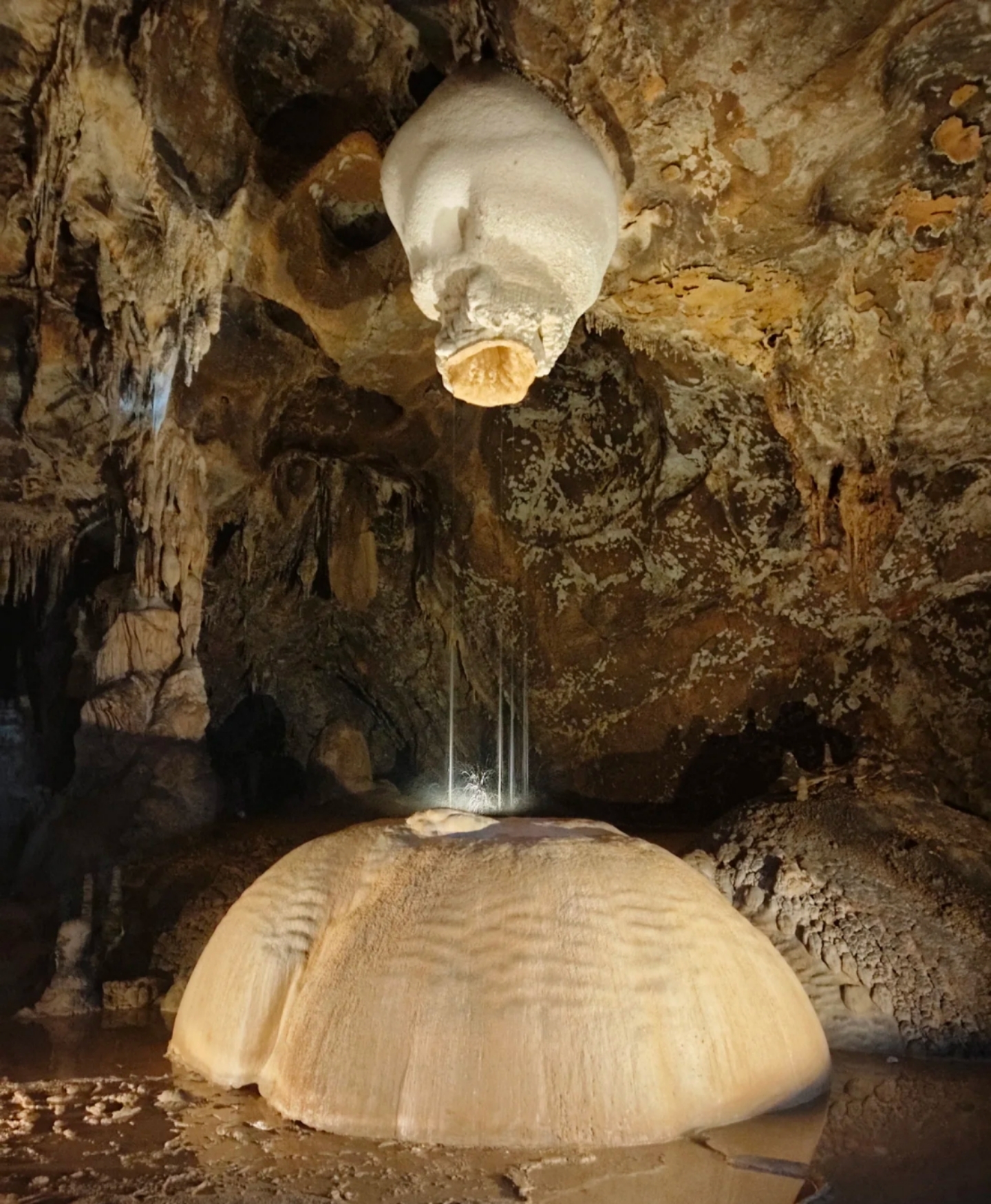 广西的山水如诗如画,每一处景色都充满了自然的魅力