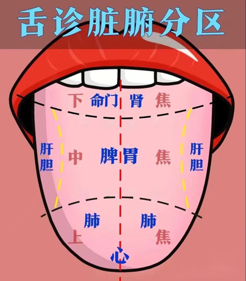 可能是评论被吞  可多发几次或者是换种方式再次提交#舌头反射区反应