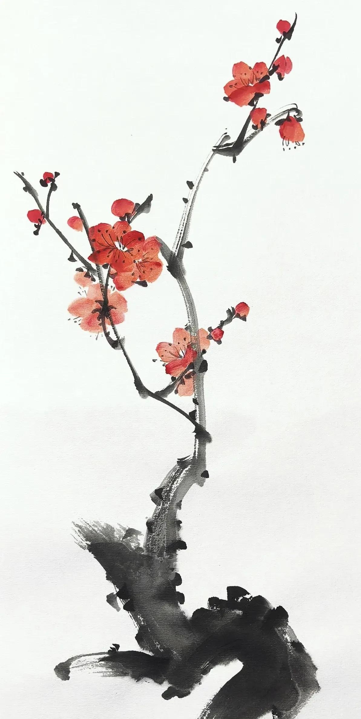 一组写意梅花图,墨枝遒劲,红梅/粉梅点缀,简洁几笔,尽显梅花傲寒风骨