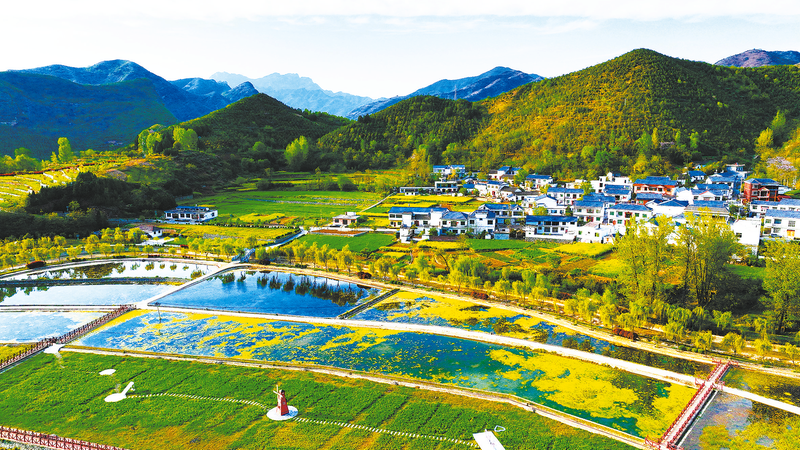 江西生态 与民生 农业转型相关图片2