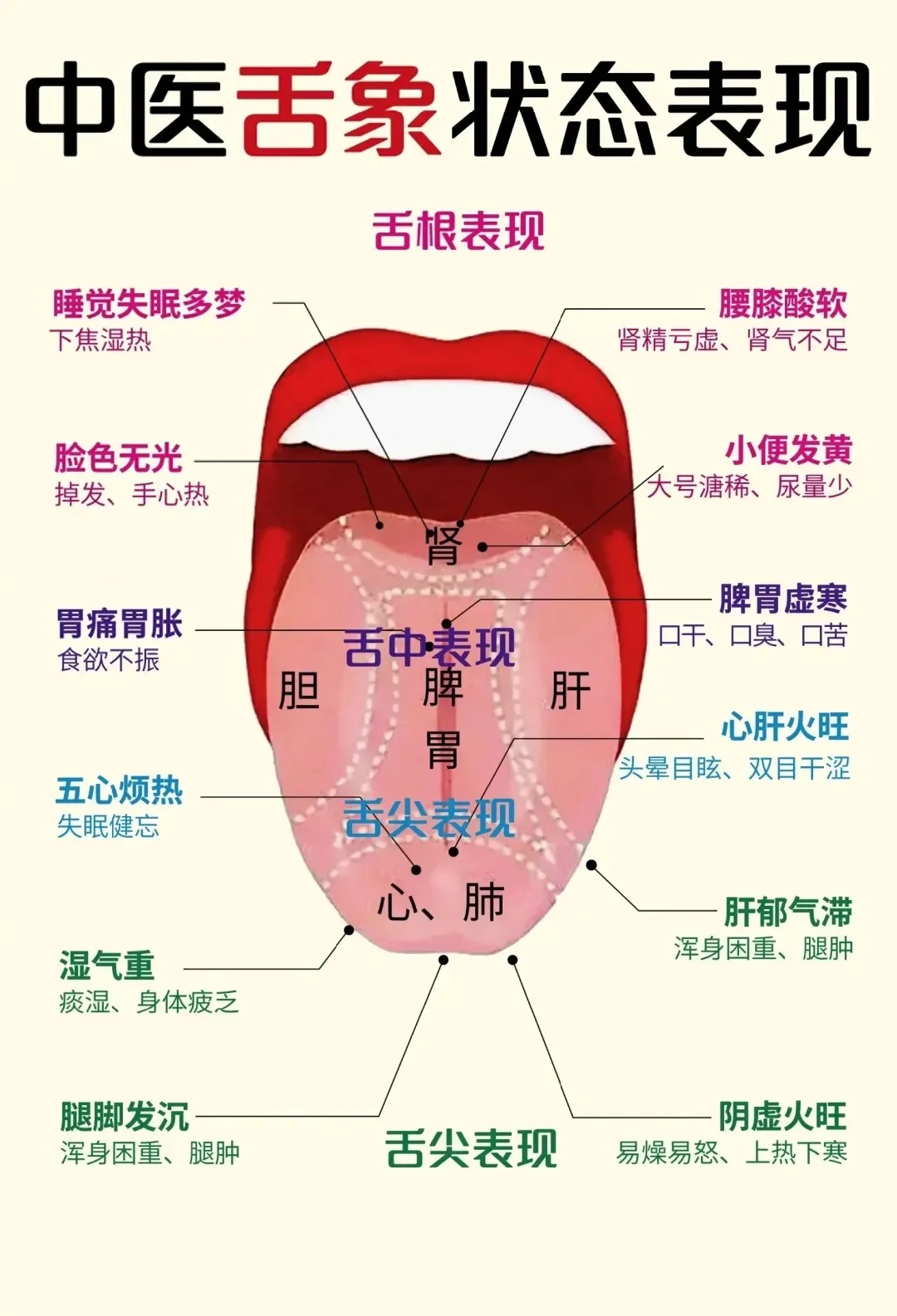 心火旺舌象诊病图片图片