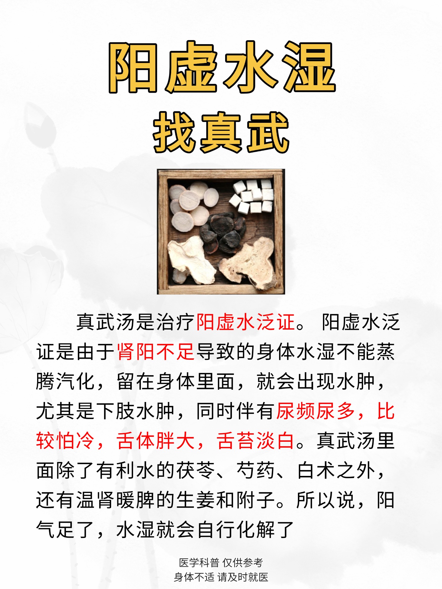 补肾喝什么泡水最好肾阳虚的(补肾喝什么泡水最好肾阳虚的药)