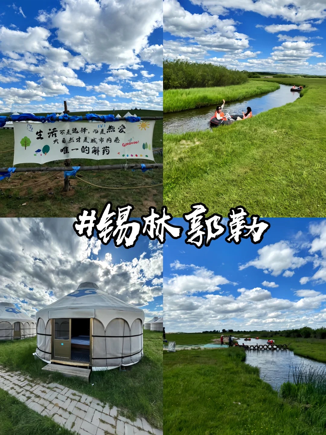 期待在这片广袤的草原上,感受自然的纯粹与自由
