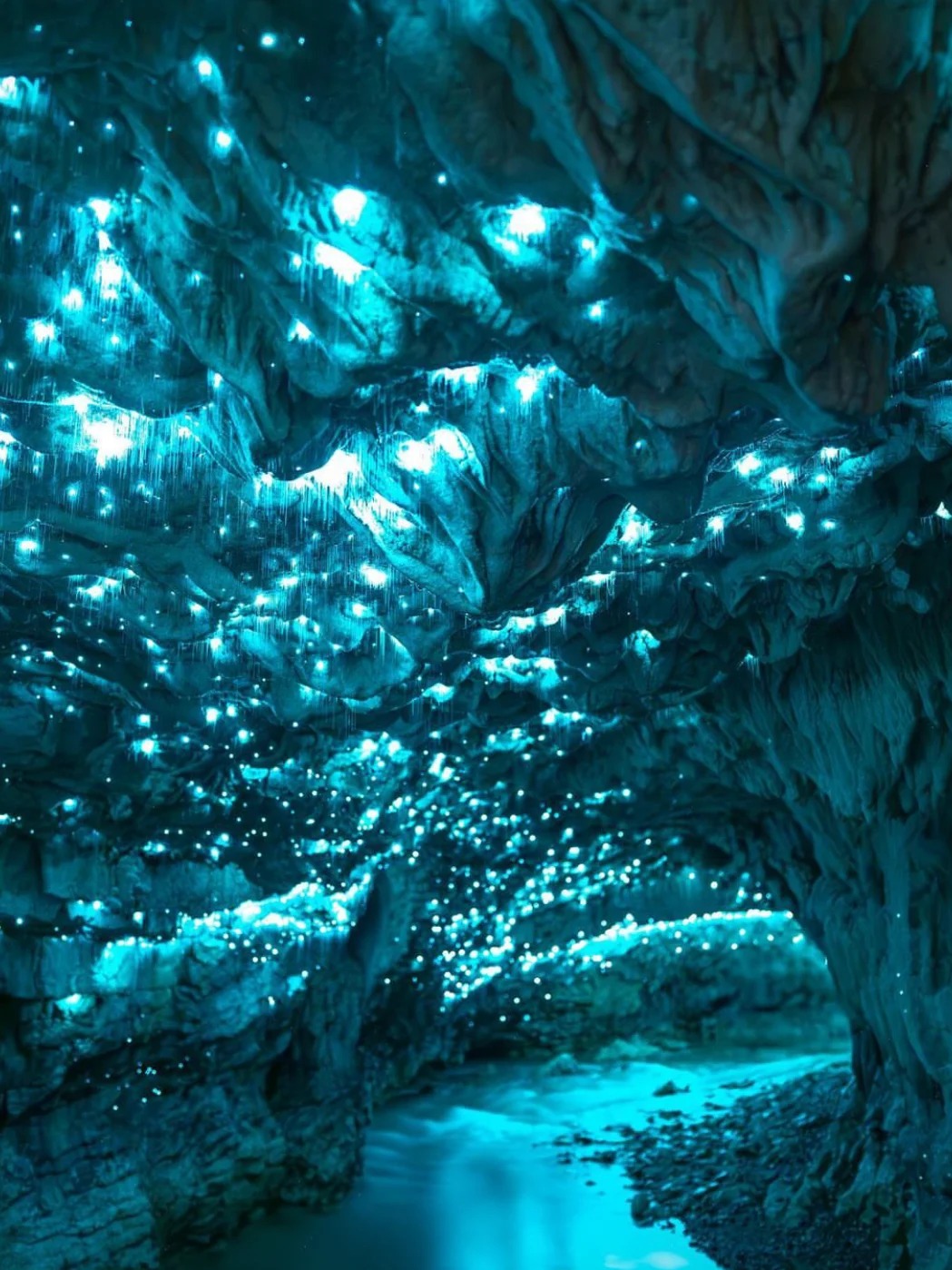 春溪国家公园春日奇遇记 宝子们,今天我要和大家分享我超难忘的春溪