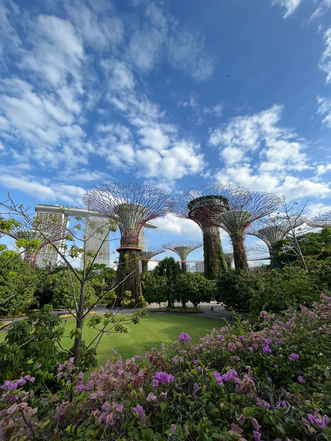 今天我要带你们走进新加坡的绿色心脏