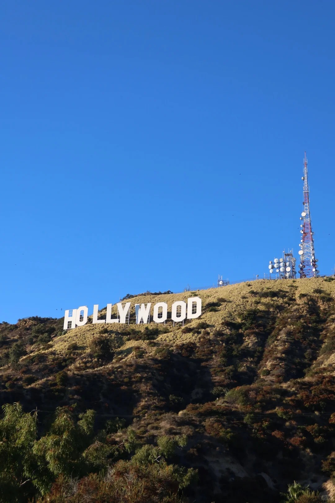 宝子们,我一直对洛杉矶好莱坞标志超期待!