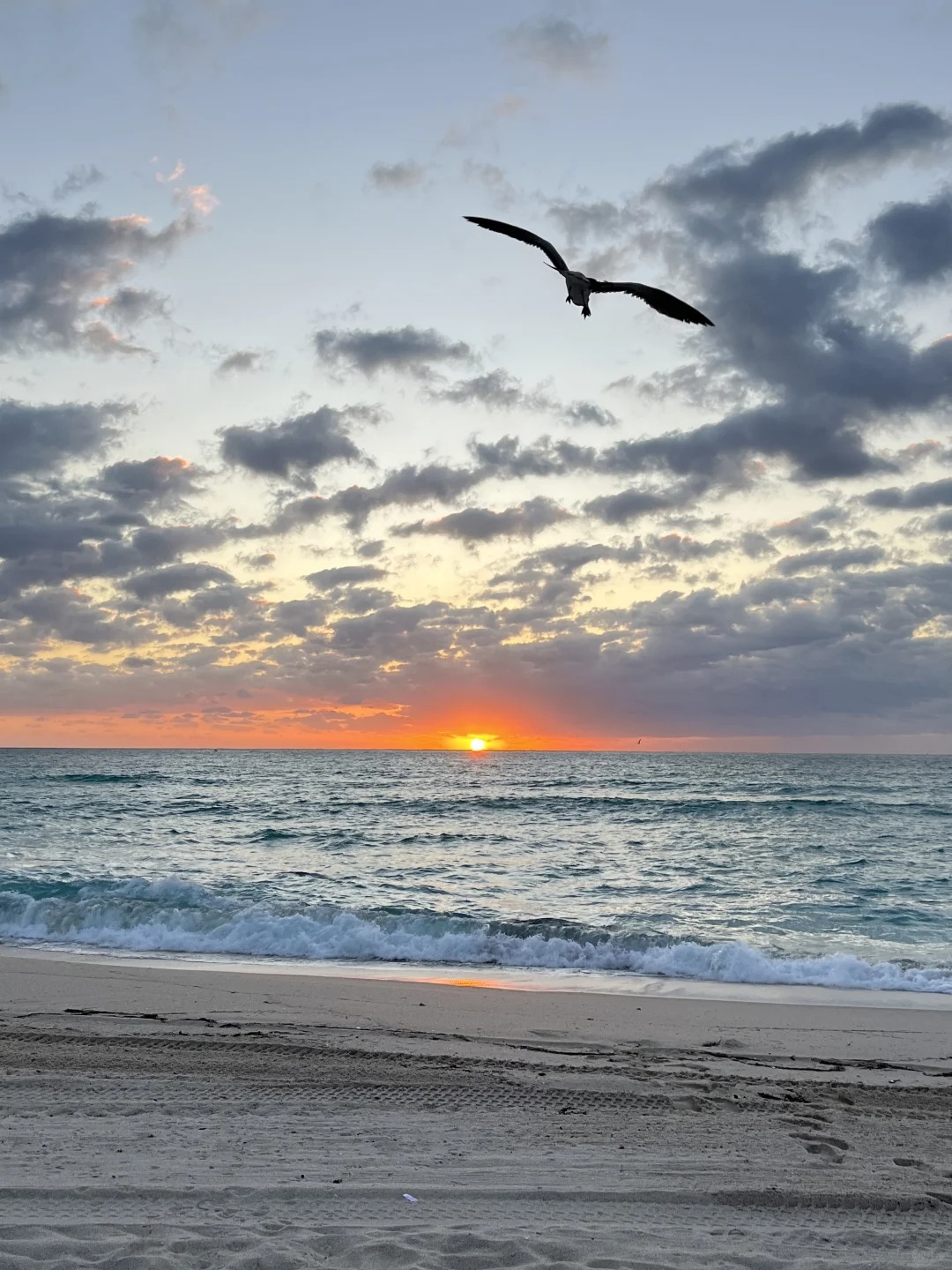 想象着自己漫步在细腻的沙滩上,感受着温暖的阳光和轻柔的海风,还有