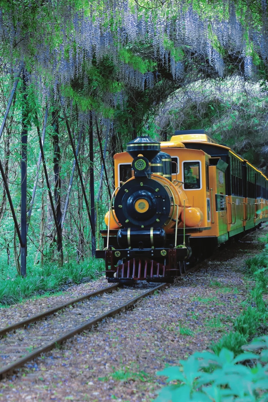 最近我去了合肥滨湖国家森林公园,简直被这里的美景狠狠拿捏住了 现在