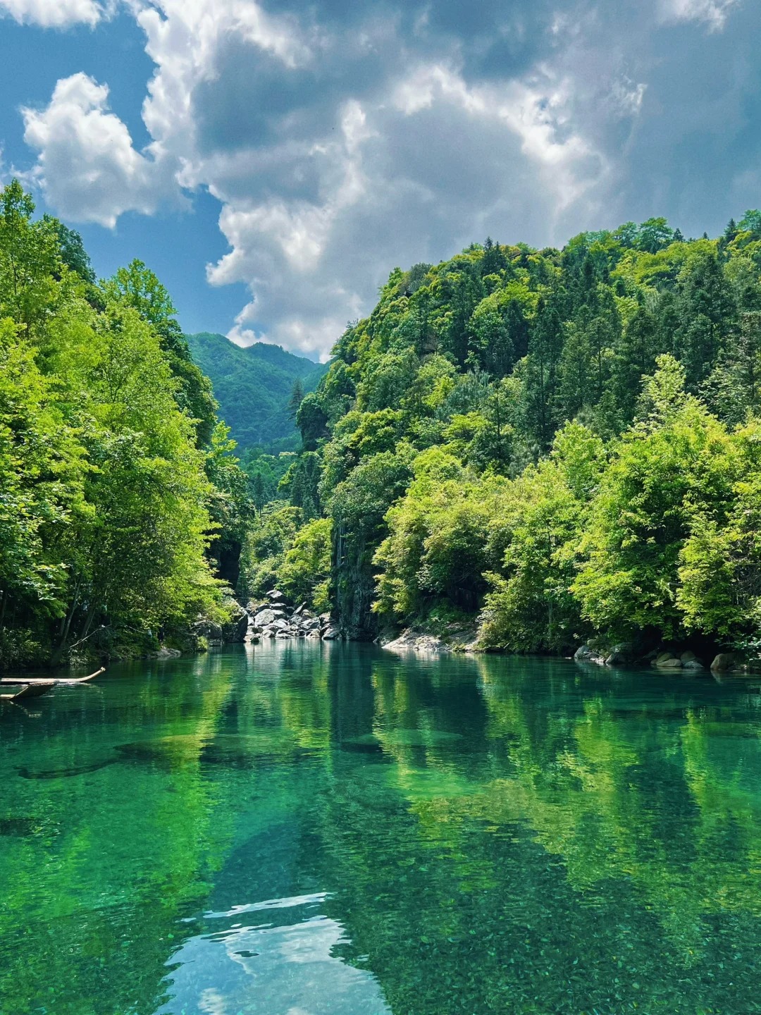 黄山牯牛降风景区