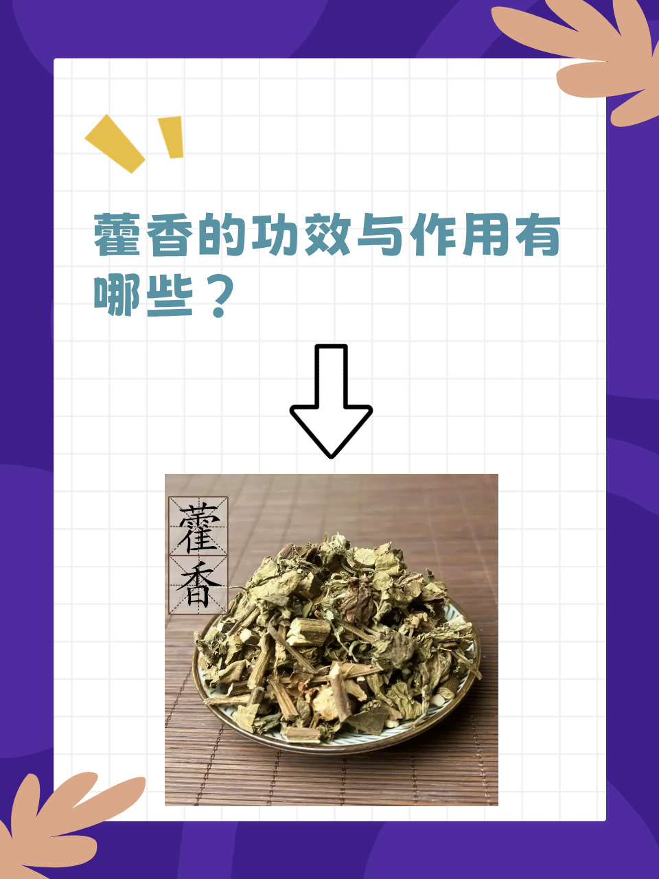 藿香的功效与作用有哪些?