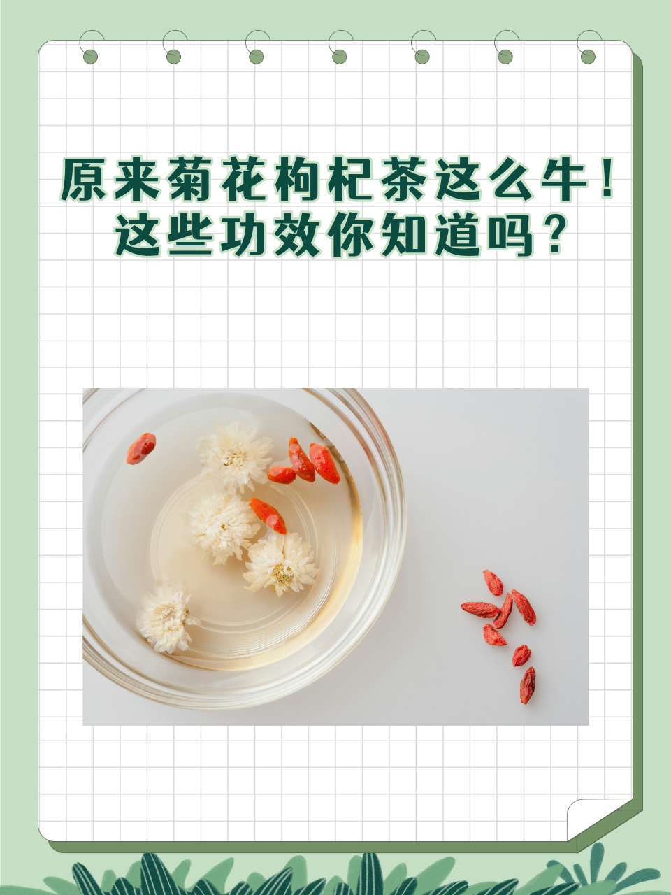 枸杞叶茶的功效与作用的功效(枸杞叶茶的功效与作用的功效与禁忌)