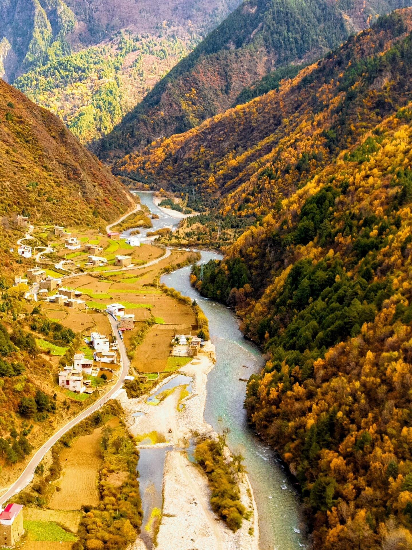 "阿妈突然塞给我一罐牦牛奶酪说小妹,党岭的秋天会写进你的骨头里