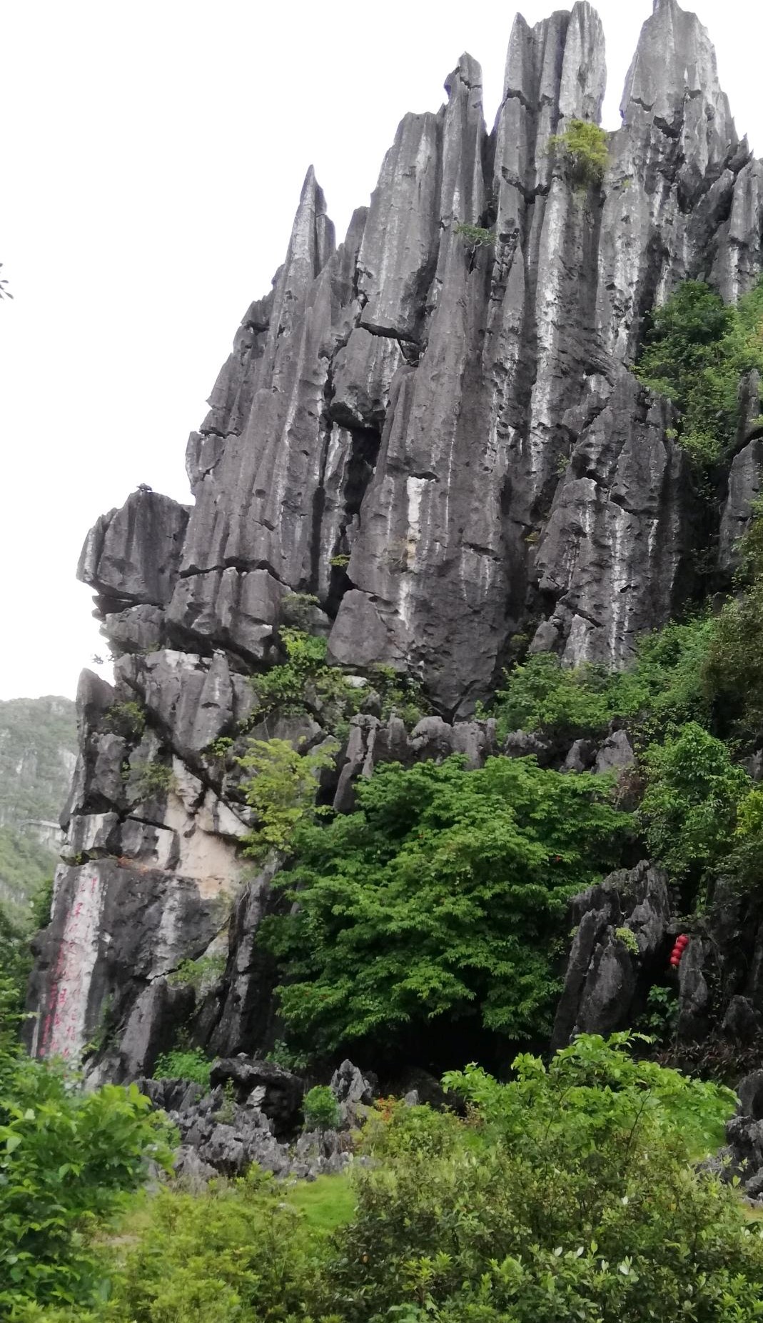 风景阳春石林照片广东景区美景阳春著名景点图片阳春石林阳春石林景区
