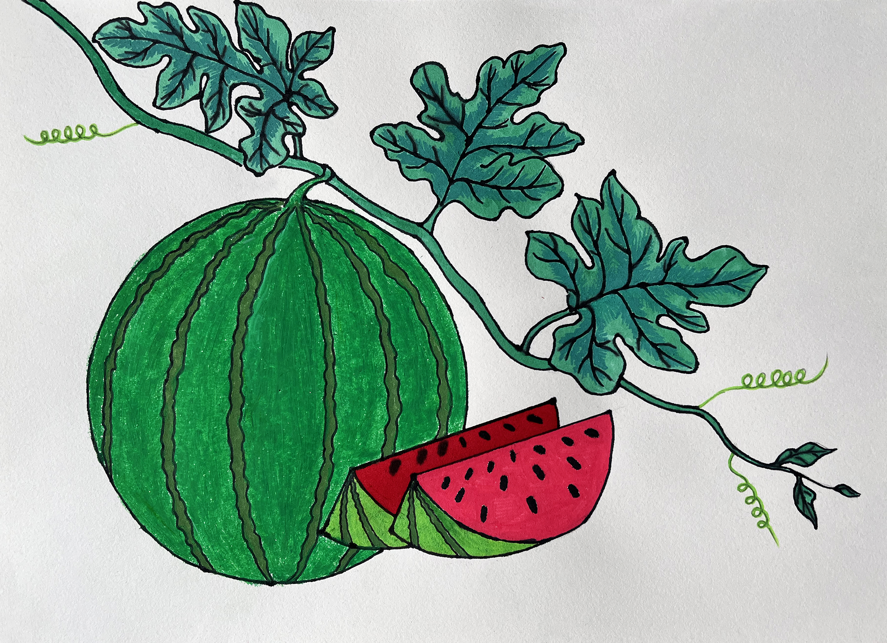 吃西瓜的季节, 教小朋友画西瓜