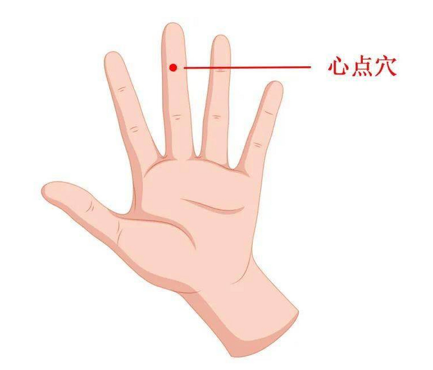 心点穴的位置:位于中指指尖第一节的中间位置,即中指远端指关节浩纹
