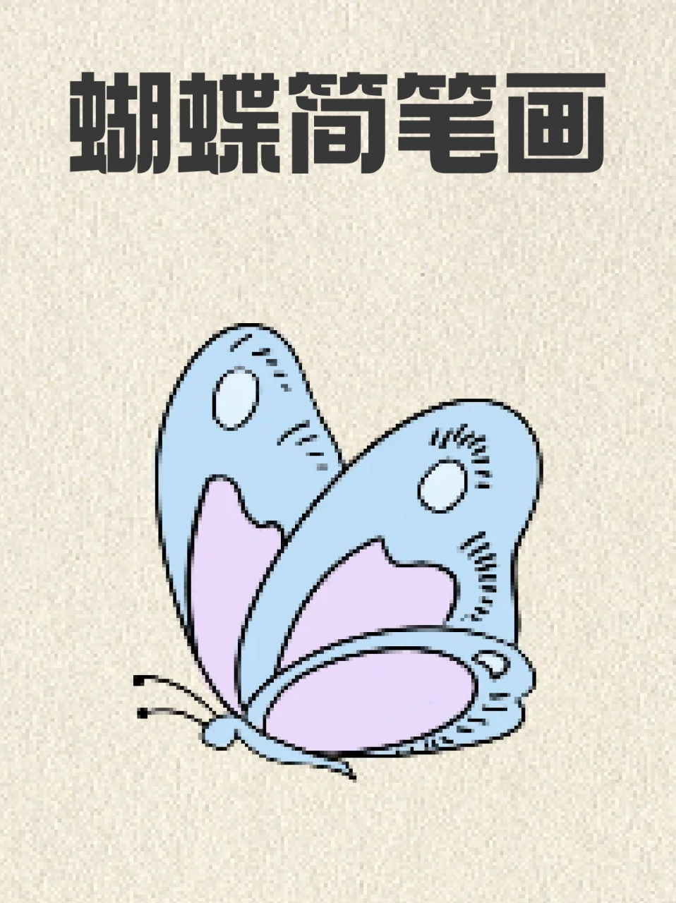 蝴蝶简笔画 96这两天去公园散步,我总能看到小蝴蝶,82阳光的照射