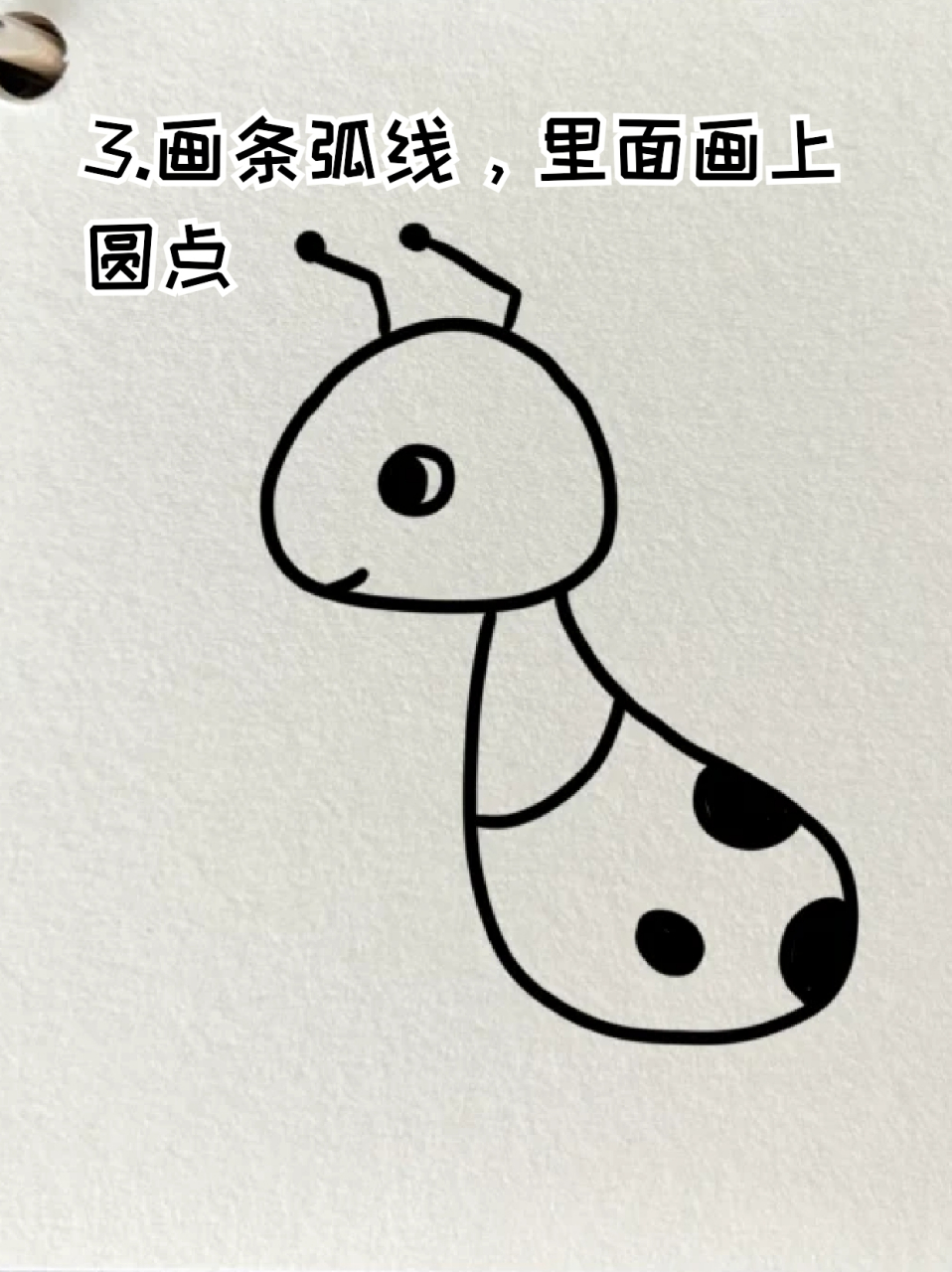 小虫子简笔画 96这两天我家孩子迷上了研究昆虫,我虽然有点膈应但