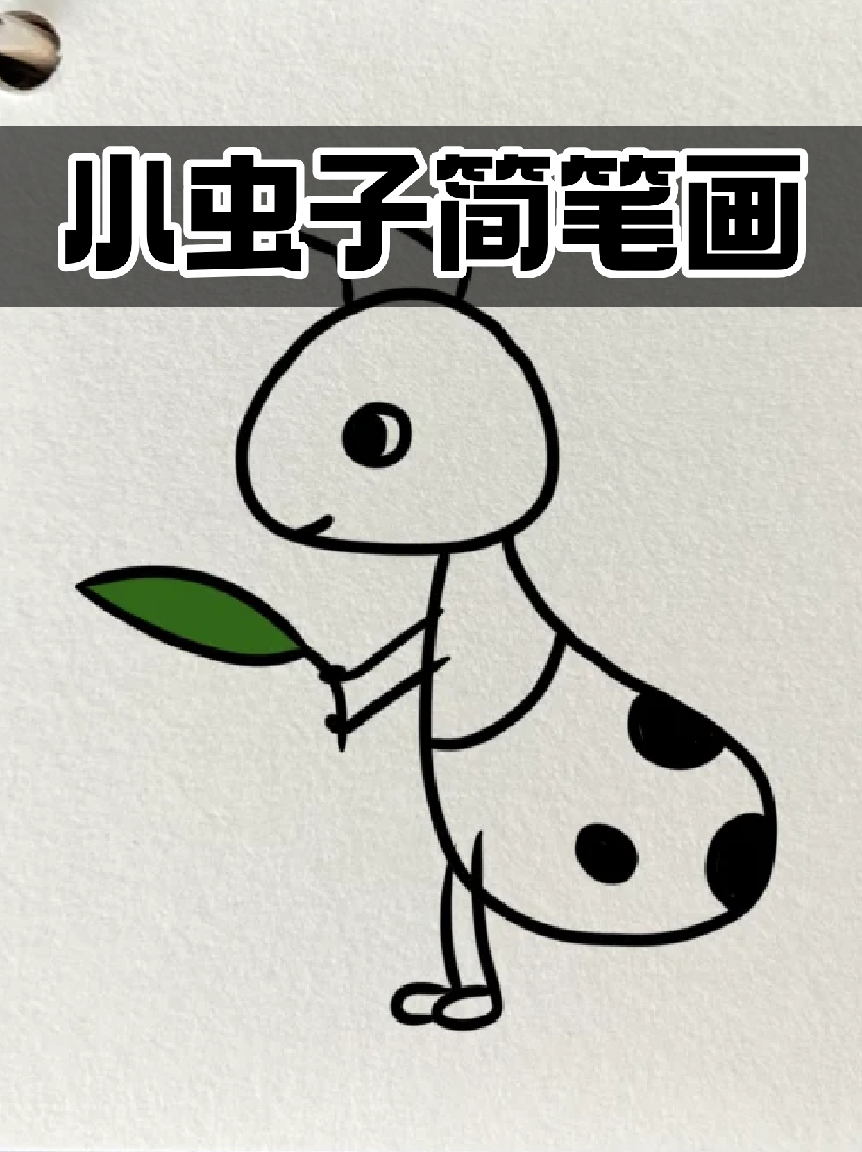 小虫子简笔画 这两天我家孩子迷上了研究昆虫,我虽然有点膈应但还是陪