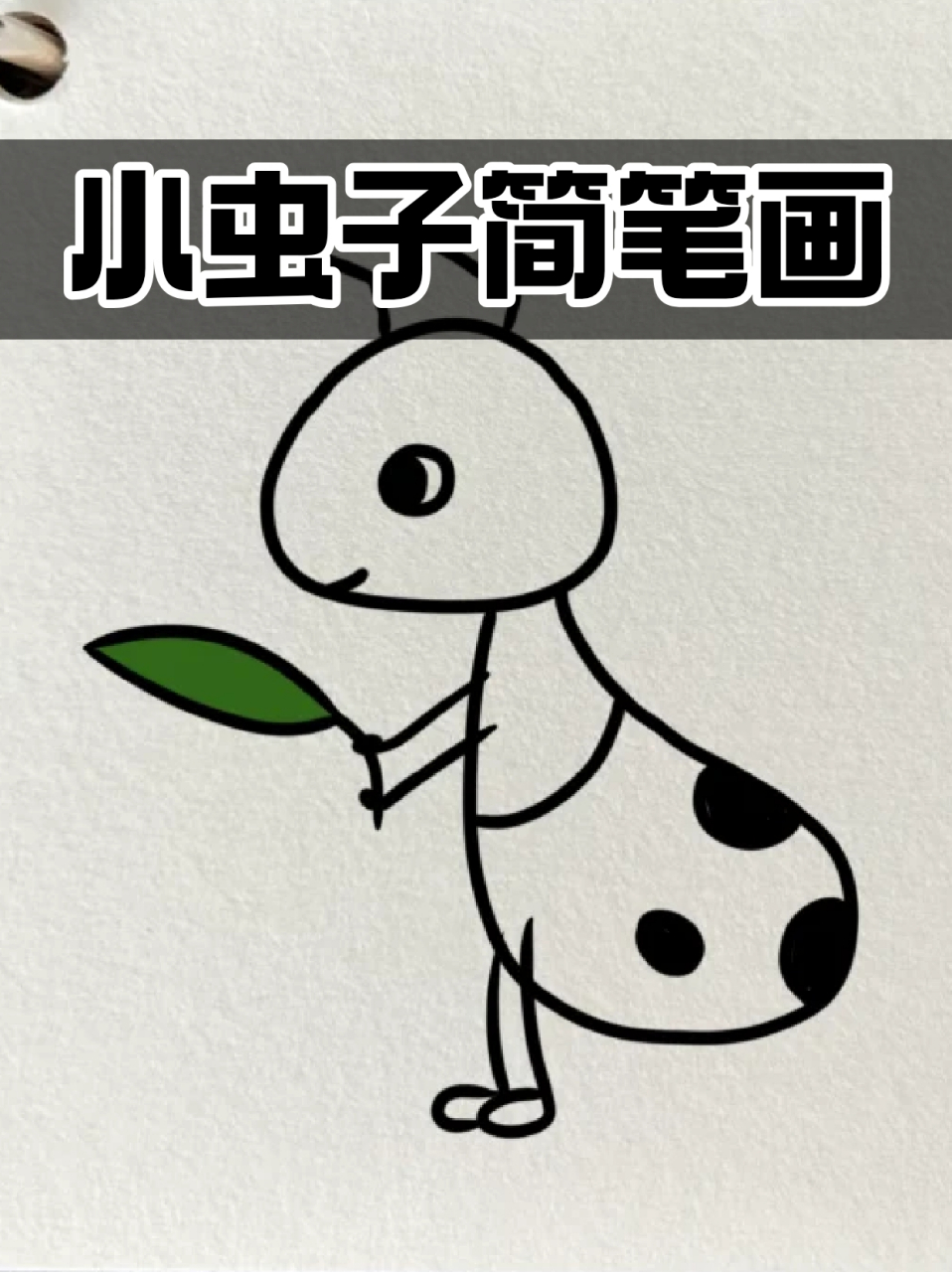 小虫子简笔画 96这两天我家孩子迷上了研究昆虫,我虽然有点膈应但