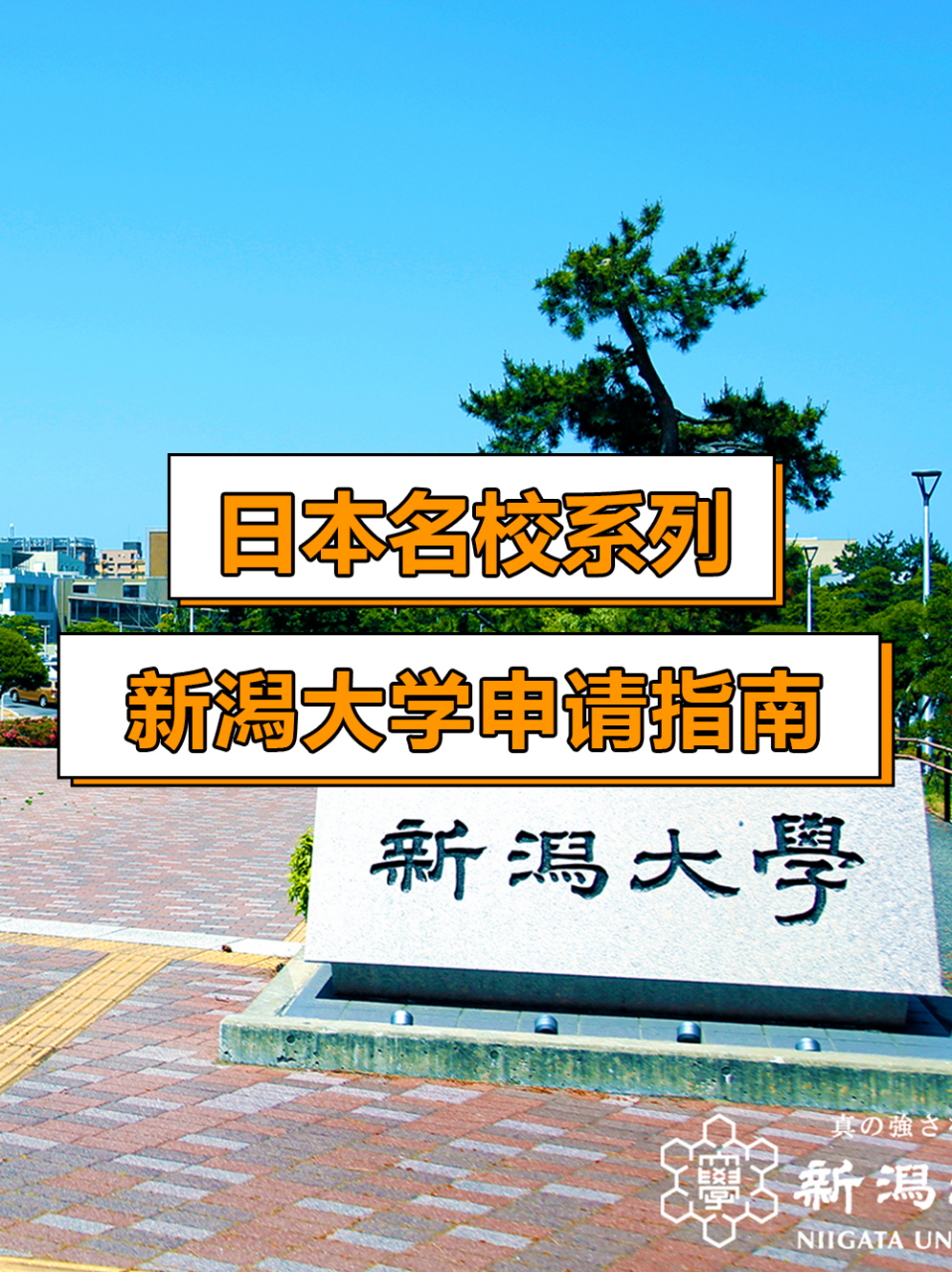 新泄大学图片