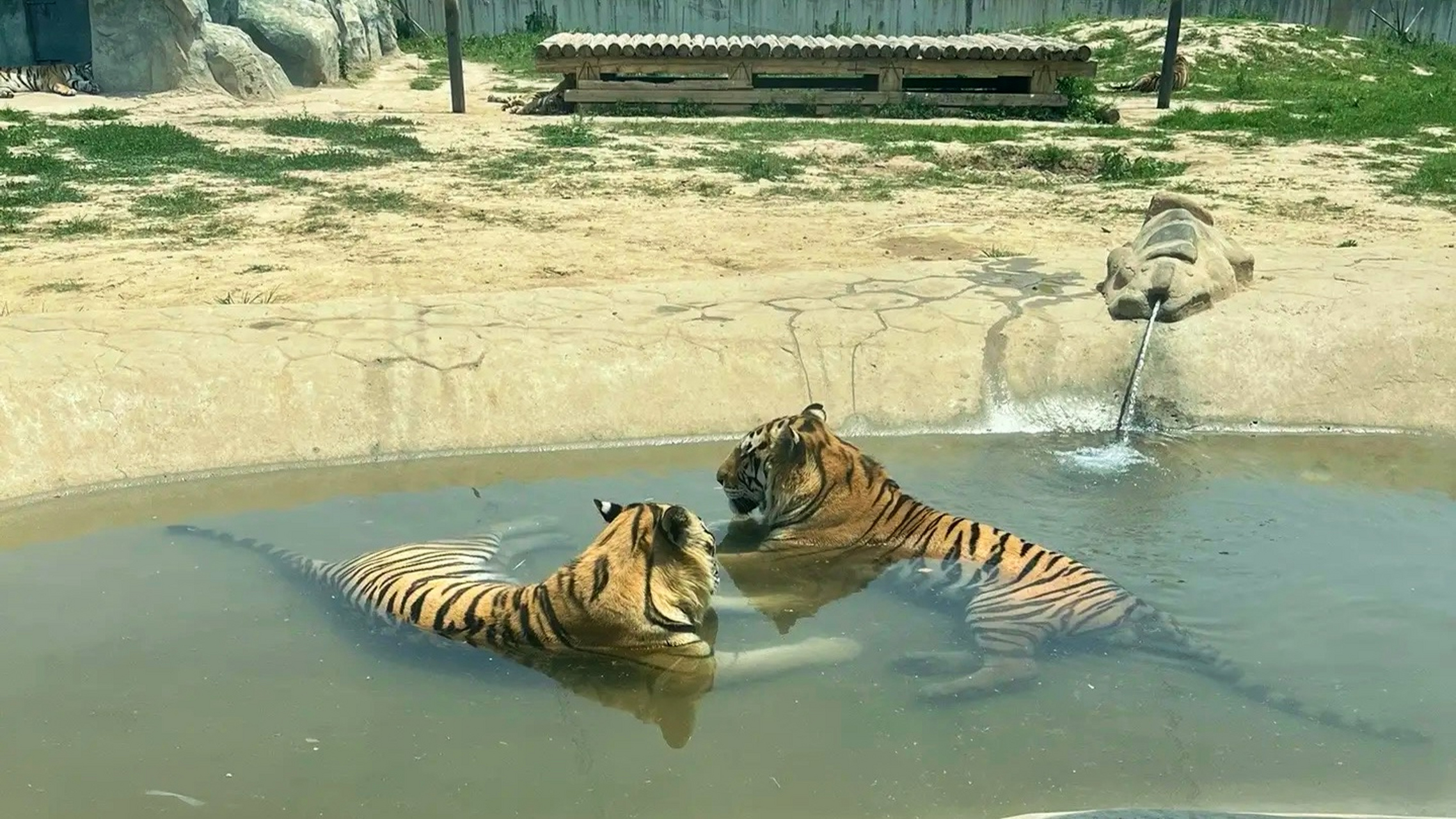 衡水野生动物园图片