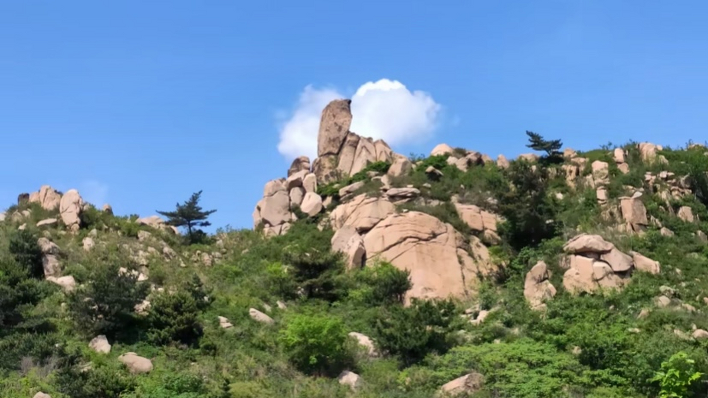 五峰山景区,位于河北省秦皇岛市昌黎县西北方,距离昌黎城区10公里,约