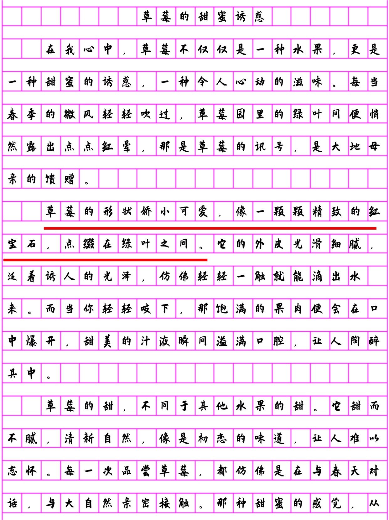 草莓冰糖葫芦作文图片