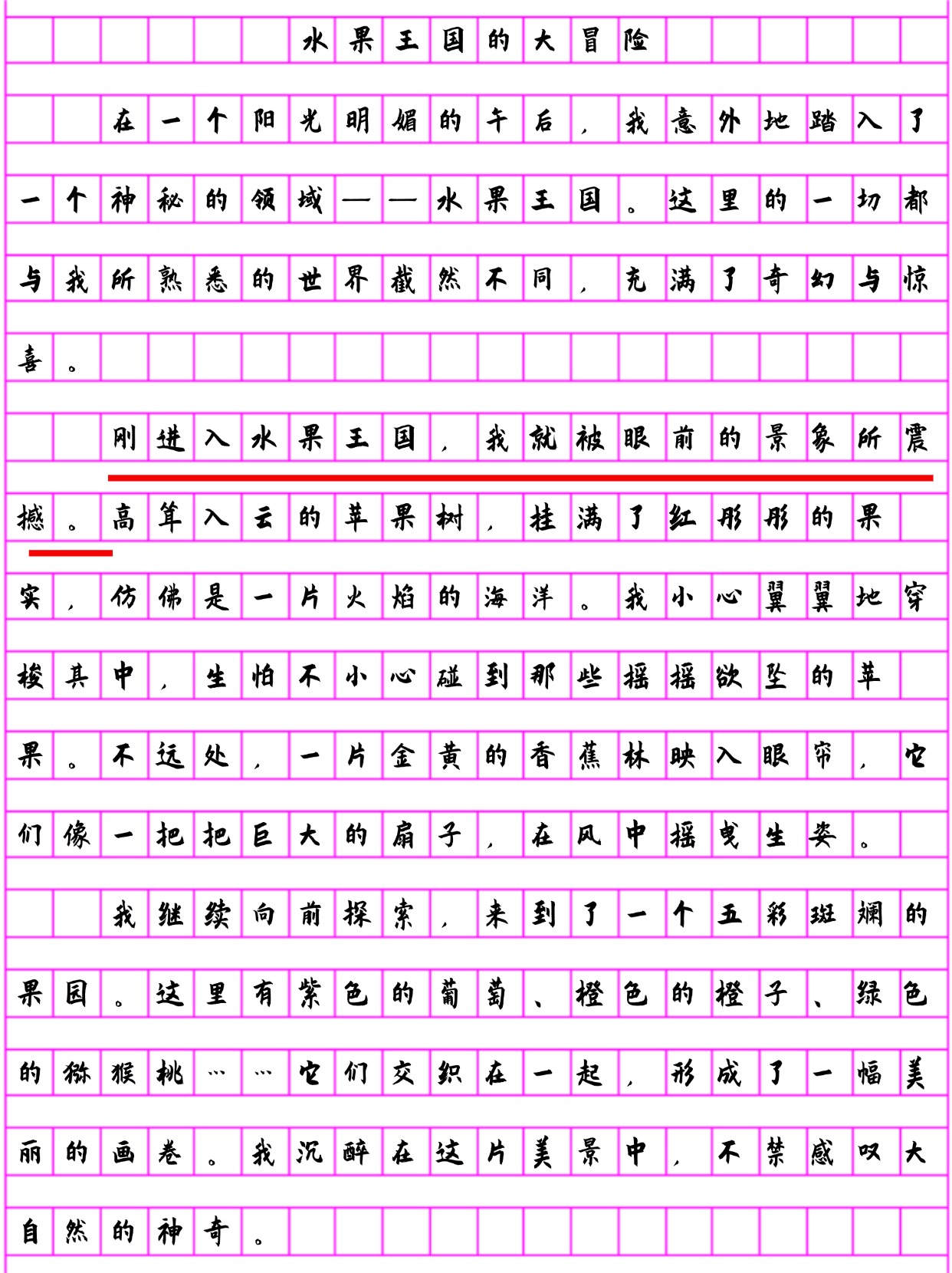 大王椰子树的作文图片